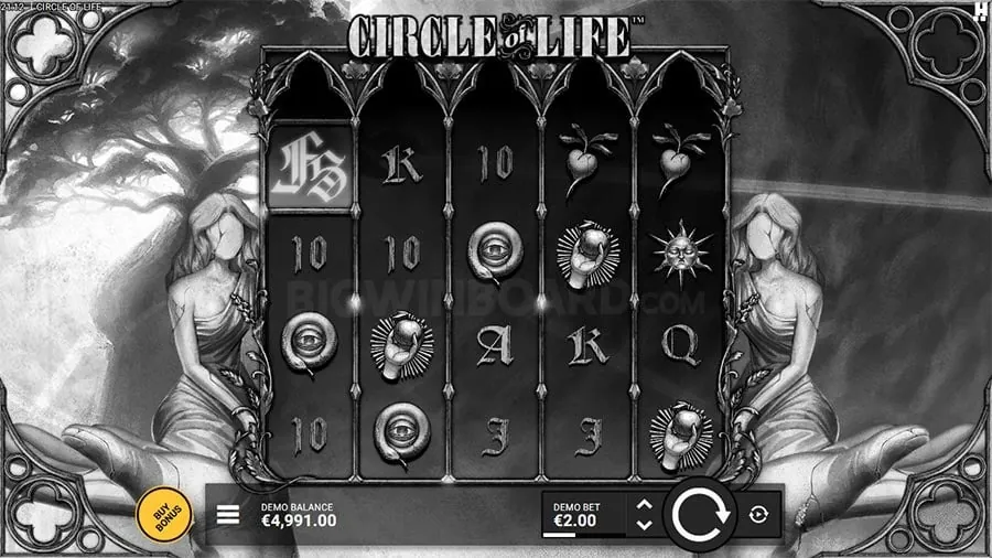 Live Casino Game Review